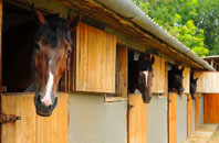 free Tickencote stable construction quotes